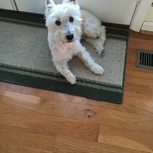 Meet your Posher, Sheila